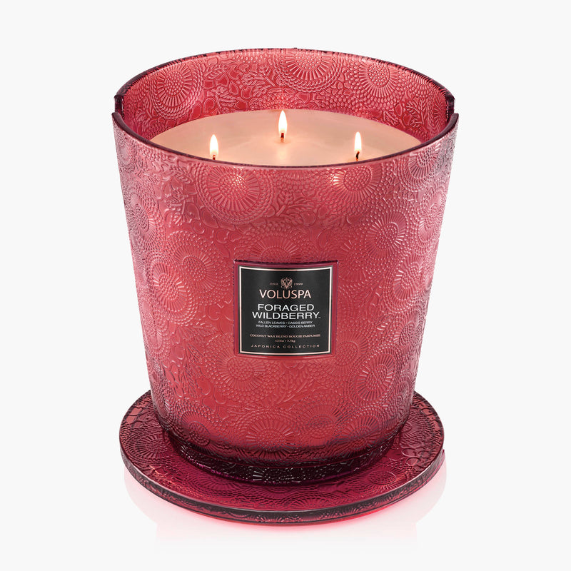 Foraged Wildberry - 5 Wick Hearth Candle - view 4