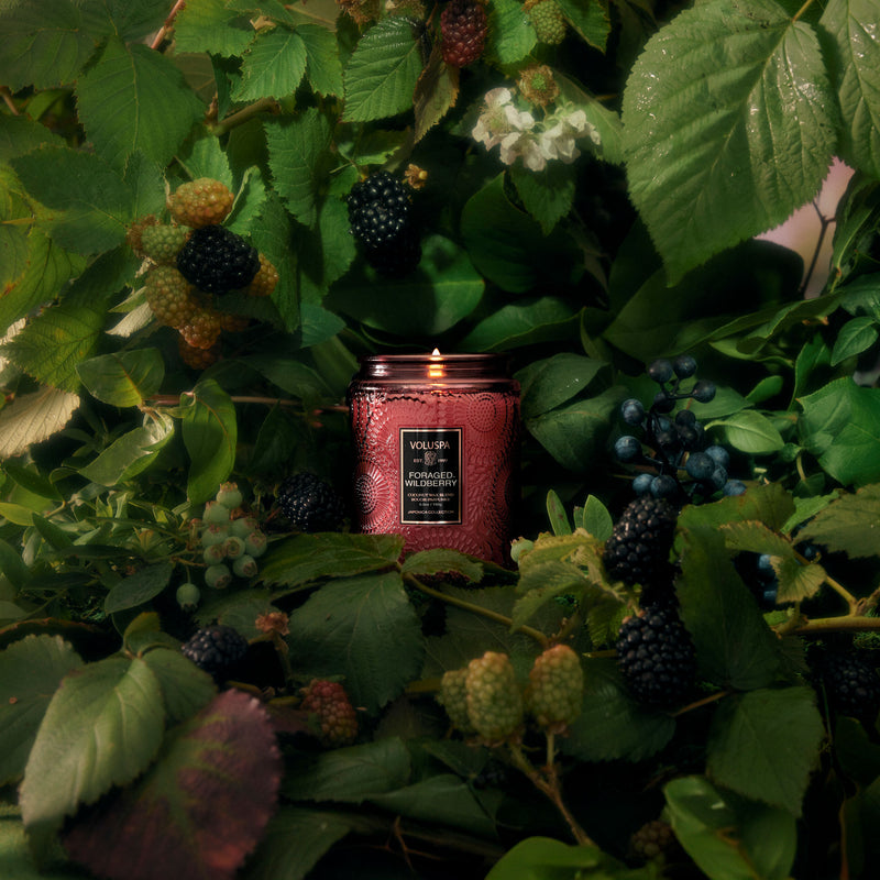 Foraged Wildberry - Small Jar Candle - view 2