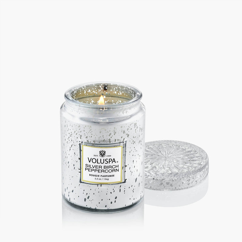 Silver Birch Peppercorn - Small Jar Candle - view 4