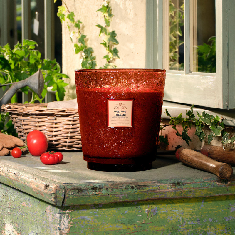 Tomato Trellis - 5 Wick Hearth Candle - view 2
