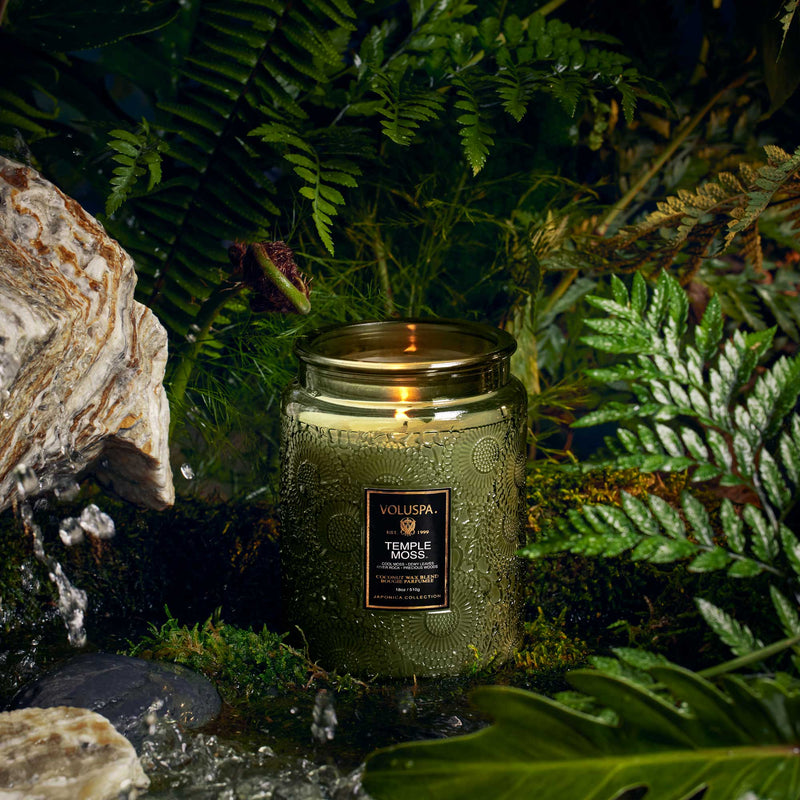 Temple Moss - Large Jar Candle - view 4
