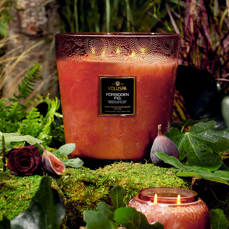 Forbidden Fig - 5 Wick Hearth Candle - view 5