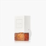 Baltic Amber - Wall Plug-In Starter Kit