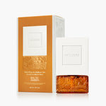 Baltic Amber - Wall Plug-In Starter Kit