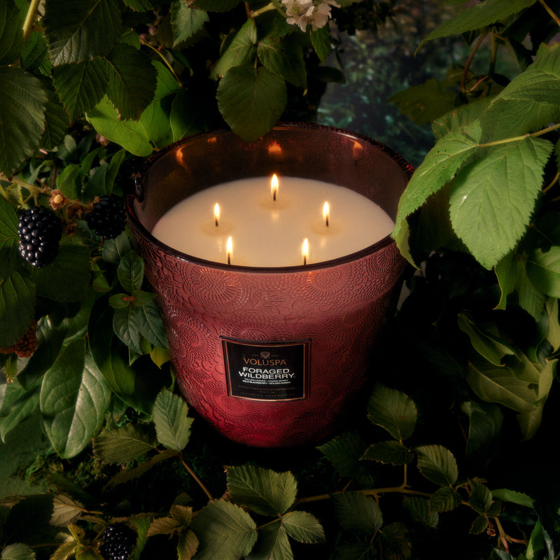 Foraged Wildberry - 5 Wick Hearth Candle - view 2