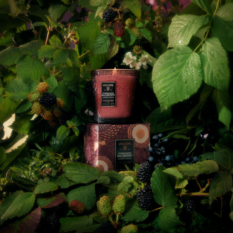 Foraged Wildberry - Classic Candle - view 2