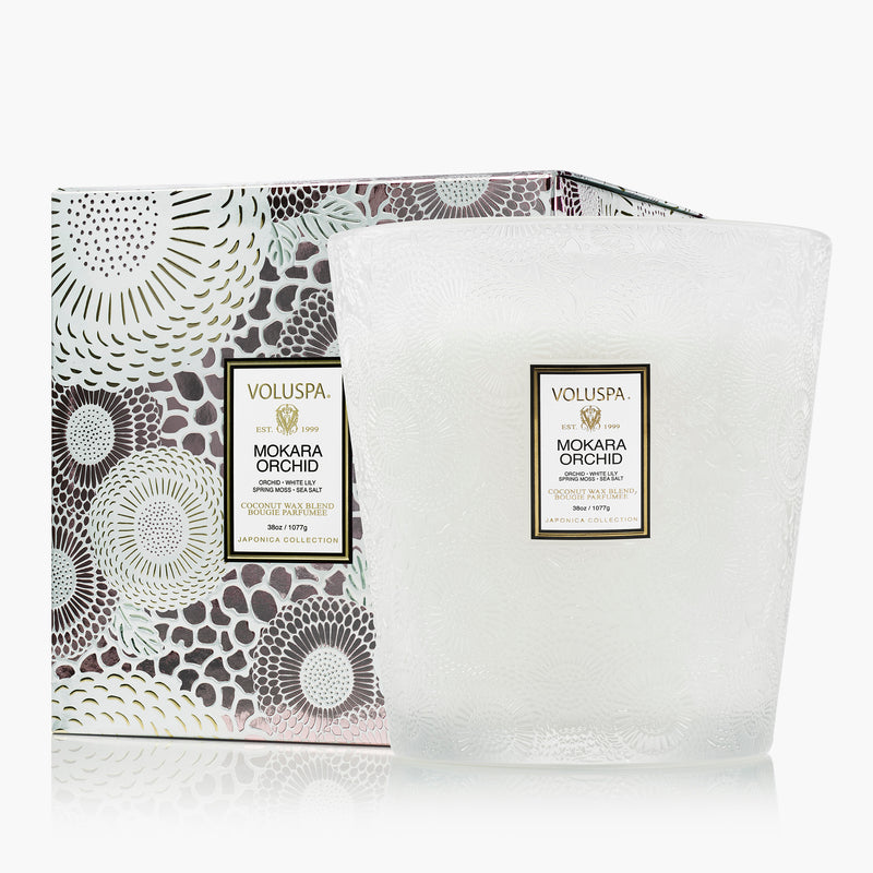 Mokara Orchid - 3 Wick Hearth Candle - view 1