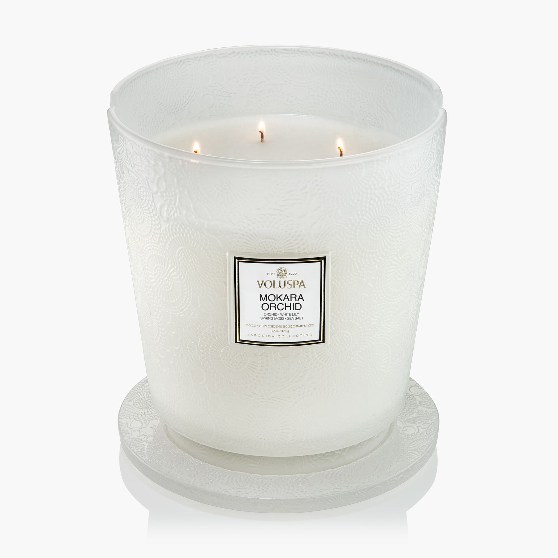 Mokara Orchid - 5 Wick Hearth Candle