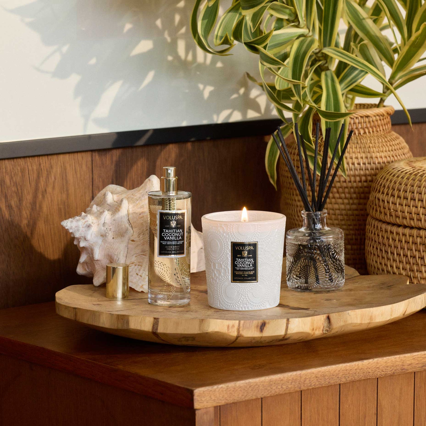 Tahitian Coconut Vanilla - Classic Candle