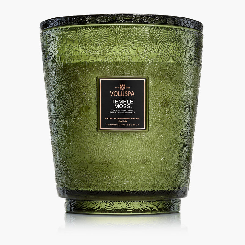 Temple Moss - 5 Wick Hearth Candle - view 1