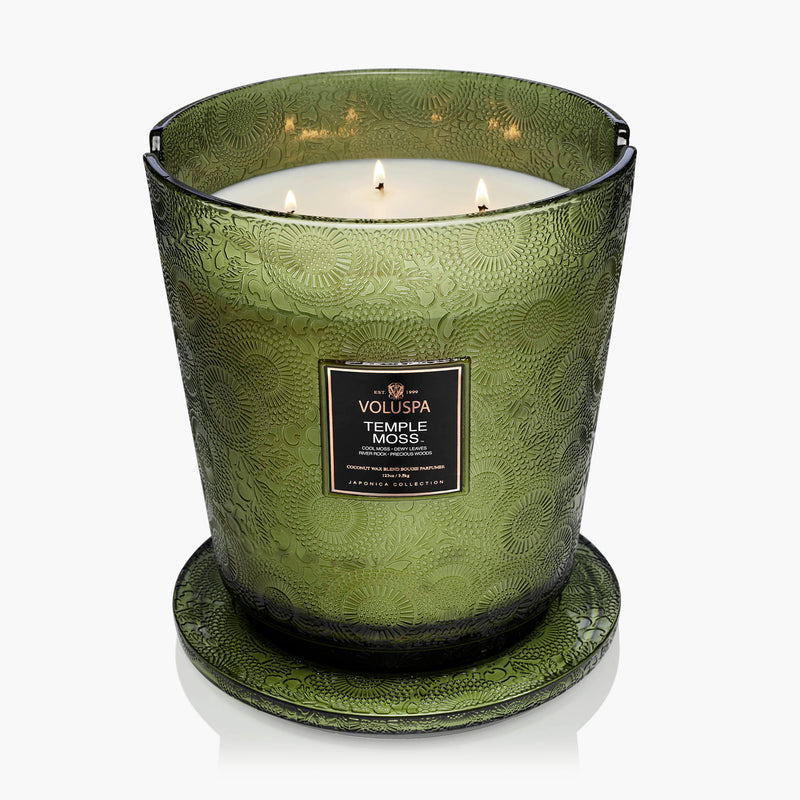 Temple Moss - 5 Wick Hearth Candle - view 4