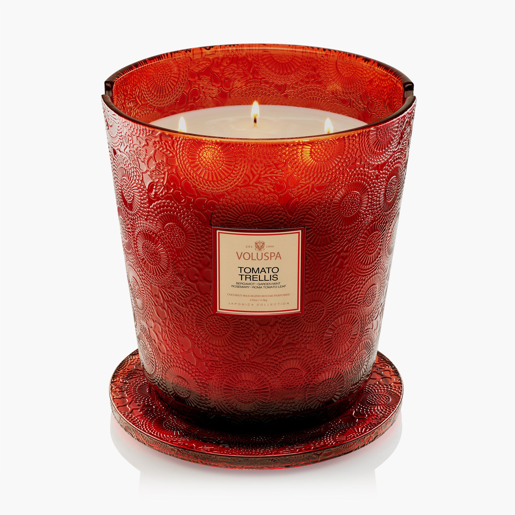 Tomato Trellis - 5 Wick Hearth Candle