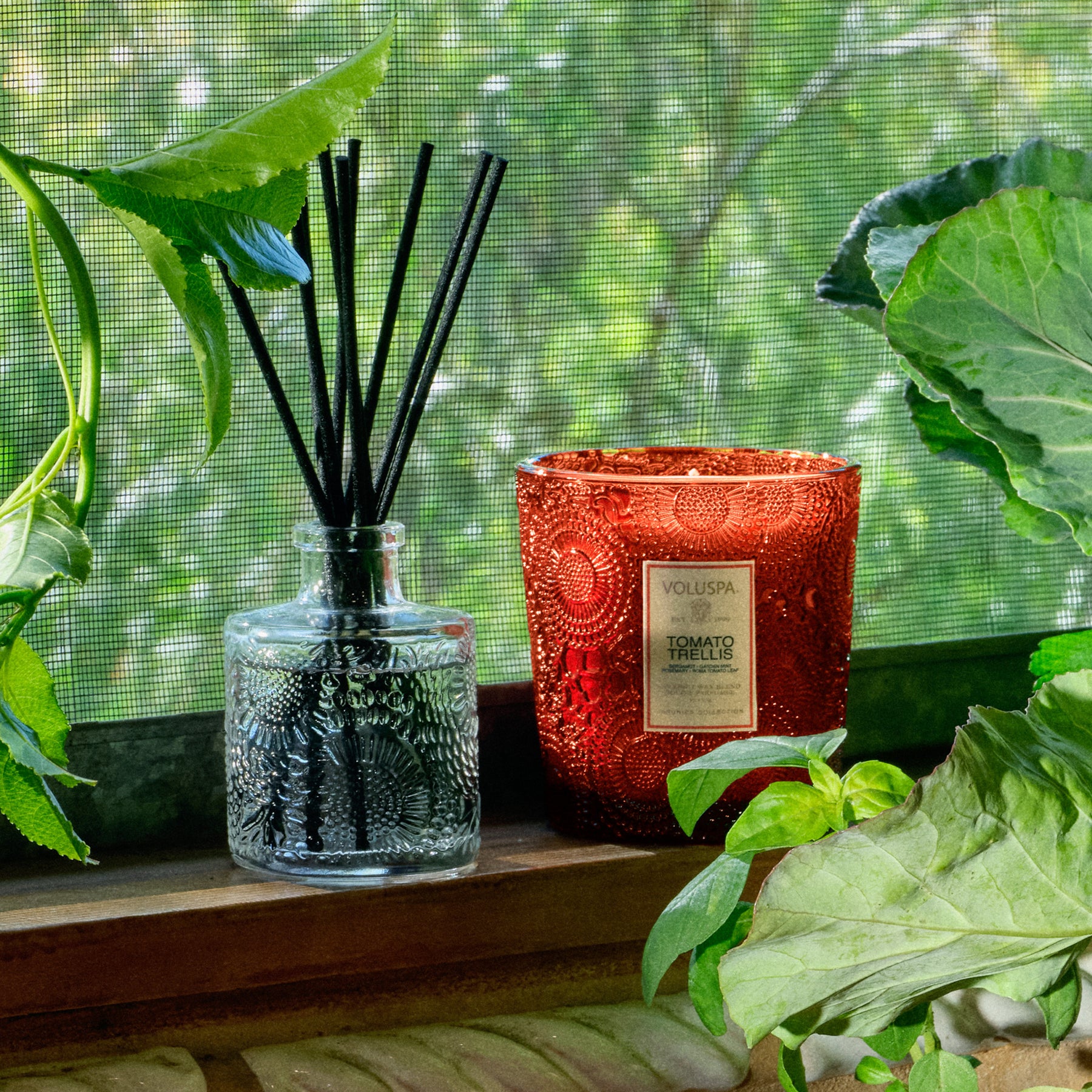 Tomato Trellis - Reed Diffuser