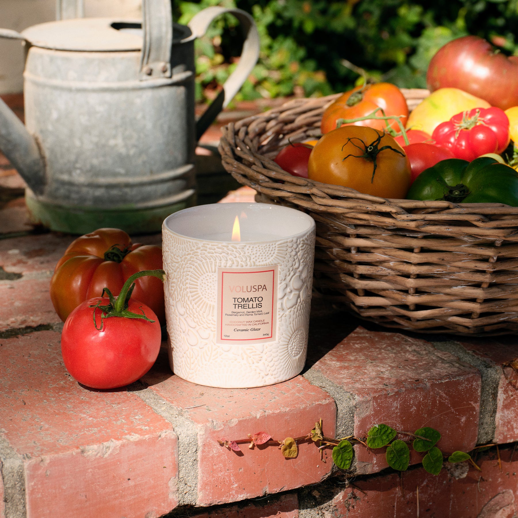 Tomato Trellis - Ceramic Luxe Classic Candle