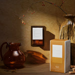 Baltic Amber - Wall Plug-In Starter Kit