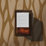 Baltic Amber - Wall Plug-In Starter Kit