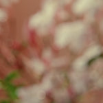 Nude Effect - 55ml Eau De Parfum